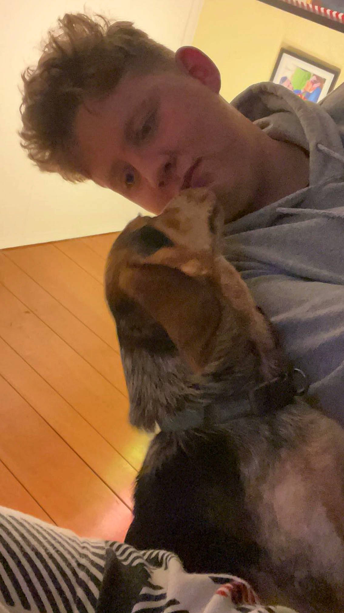 Daisy joined the competition — help win amazing prizes! abdomen, canidae, carnivore, comfort, companion_dog, dog_breed, ear, fawn, felidae, flooring, fur, gesture, nap, paw, selfie, small_to_medium_sized_cats, snout, sporting_group, tail, whiskers