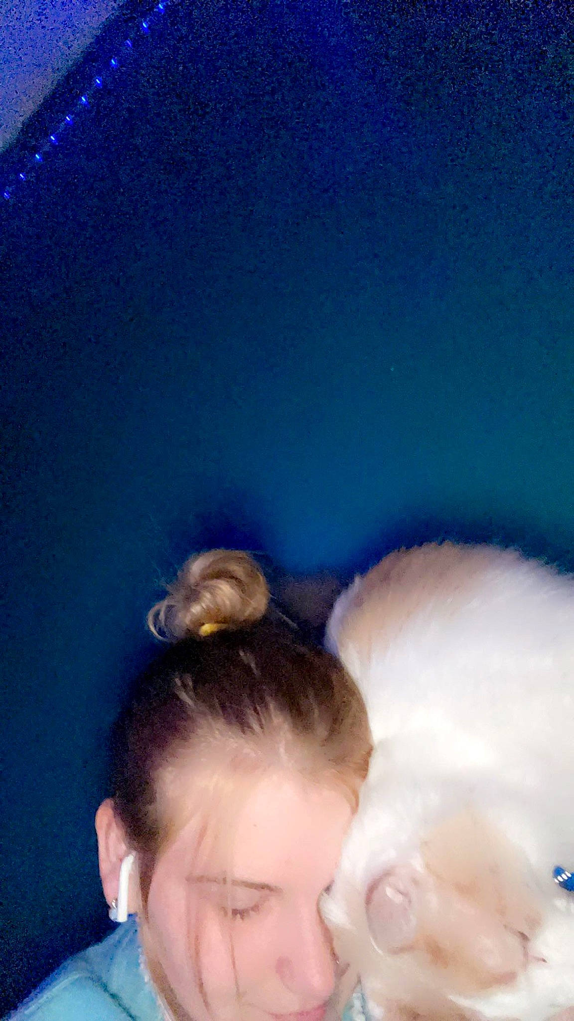 Speedy joined the competition — help win amazing prizes! baby, bathing, bedtime, chest, child, ear, electric_blue, eyelash, fashion_accessory, fun, fur, gesture, happy, head, headpiece, leisure, nap, room, sky, toddler