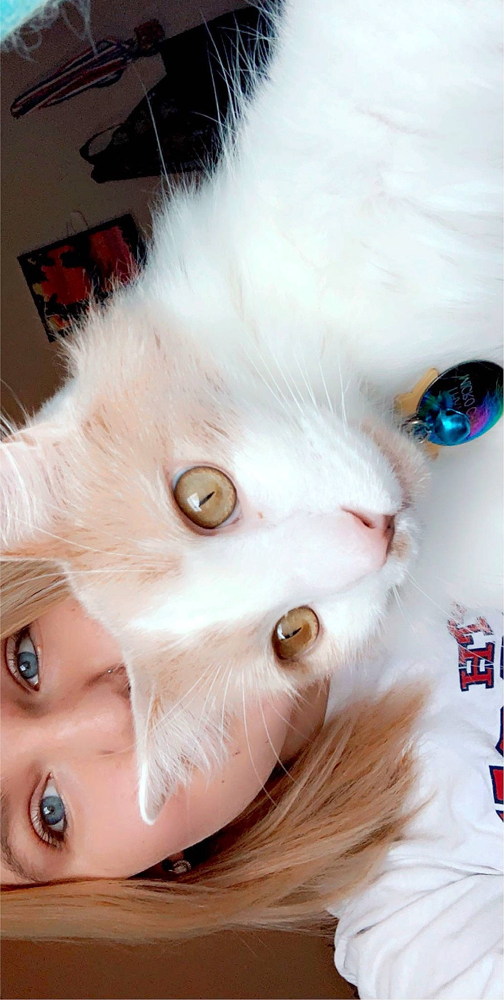 Speedy joined the competition — help win amazing prizes! carnivore, cat, cheek, ear, eyelash, fashion_accessory, felidae, fur, hair, human_body, iris, jaw, mouth, nose, skin, small_to_medium_sized_cats, snout, toy, whiskers, wig