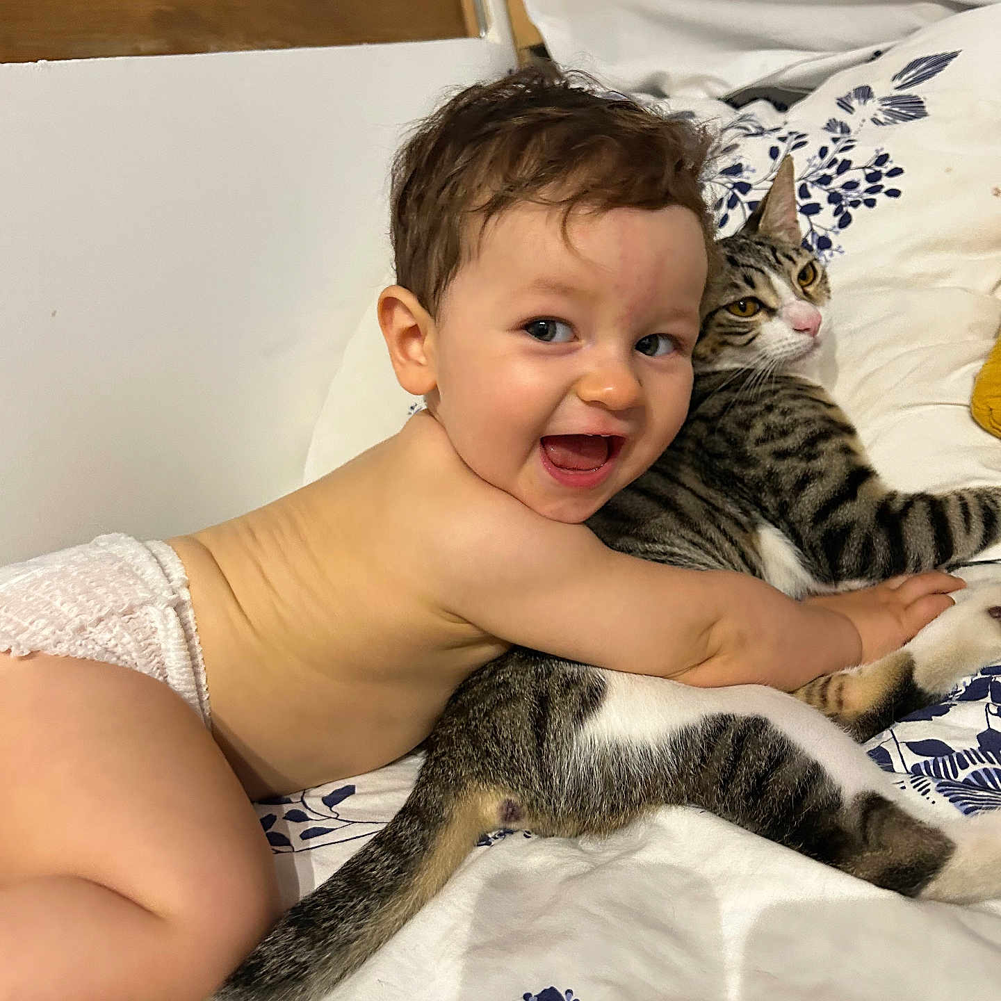 Alezio a rejoint le concours — aidez-le/la à gagner de superbes lots ! animal, baby, bed, blanket, cat, child, cute, diaper, feline, floral_pattern, happy, hugging, indoor, person, pet, playful, resting, skin, smiling, tabby_cat