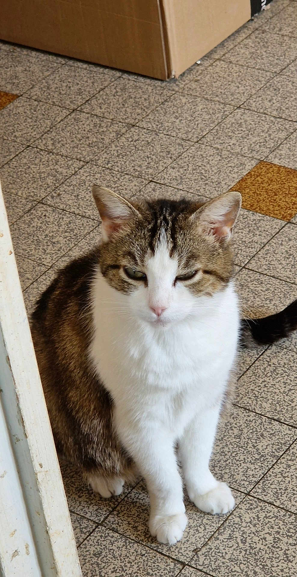 Minette