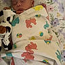 baby, sleeping, blanket, toy, cow, floral_pattern, cushion, infant, peaceful, wrapped, colorful, soft_toy, lying_down, child, cute, indoors, cozy, resting, nursery, portrait