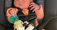Thalia is registered to the contest to win money with this photo: baby, infant, car_seat, orange_clothing, headband, white_flower, pacifier, plush_toy, cow_toy, feet, straps, safety, child, cute, newborn, seatbelt, indoor, person, portrait, relaxing