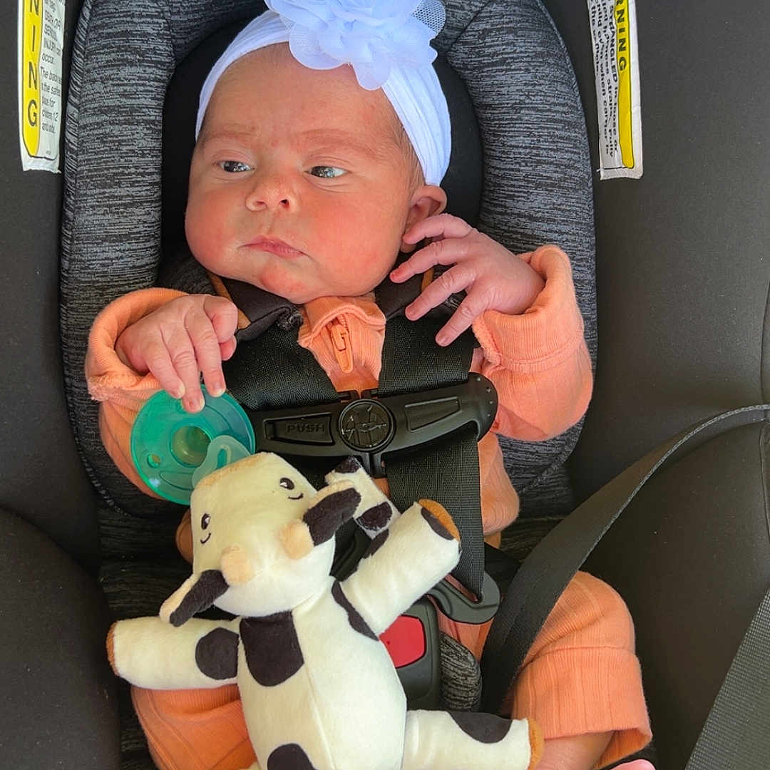 Thalia is registered to the contest to win money with this photo: baby, infant, car_seat, orange_clothing, headband, white_flower, pacifier, plush_toy, cow_toy, feet, straps, safety, child, cute, newborn, seatbelt, indoor, person, portrait, relaxing