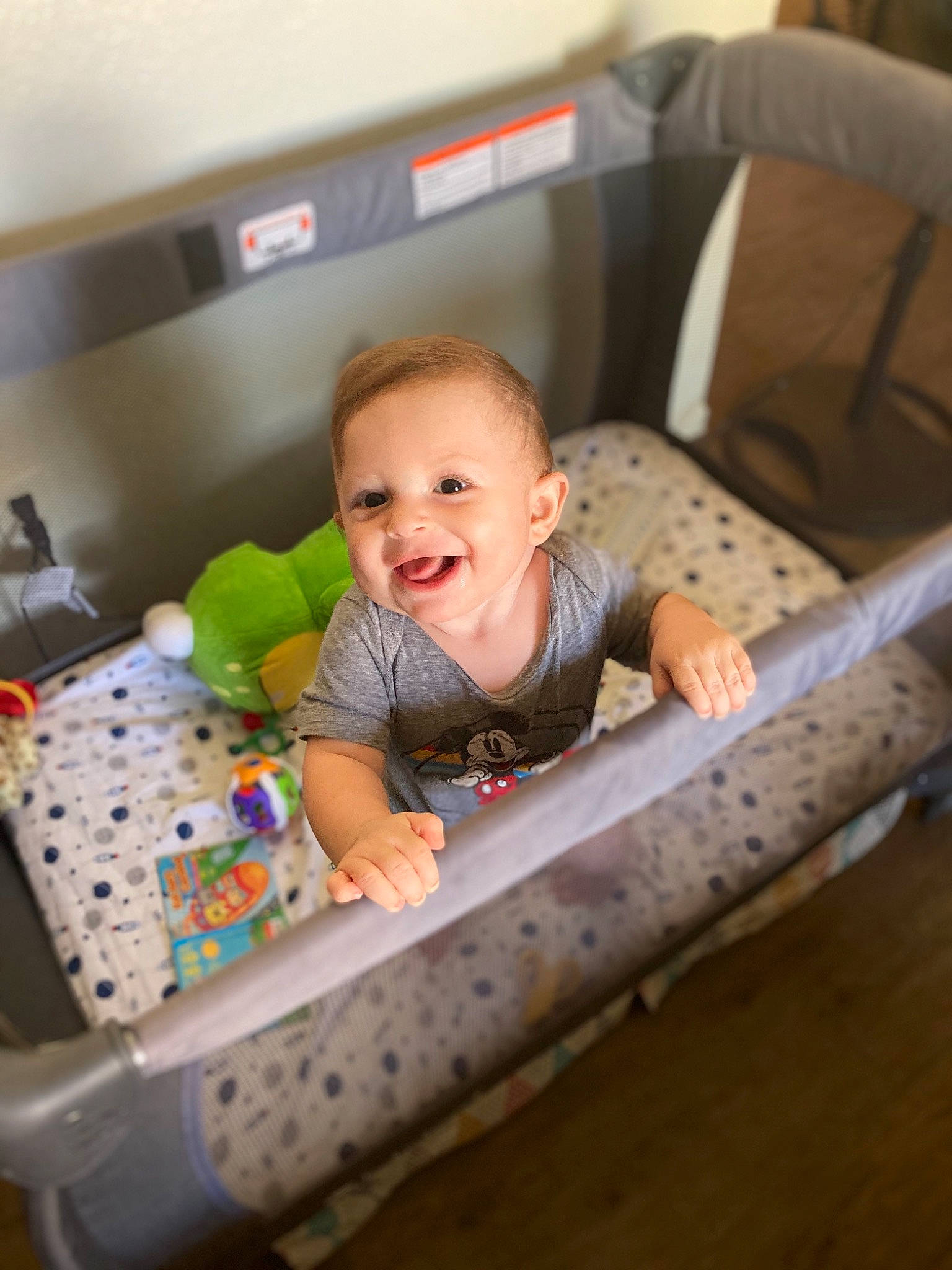 Larry joined the competition — help win amazing prizes! baby, baby_products, baby_safety, baby_toys, child, comfort, furniture, infant_bed, joy, person, play, product, sitting, toddler
