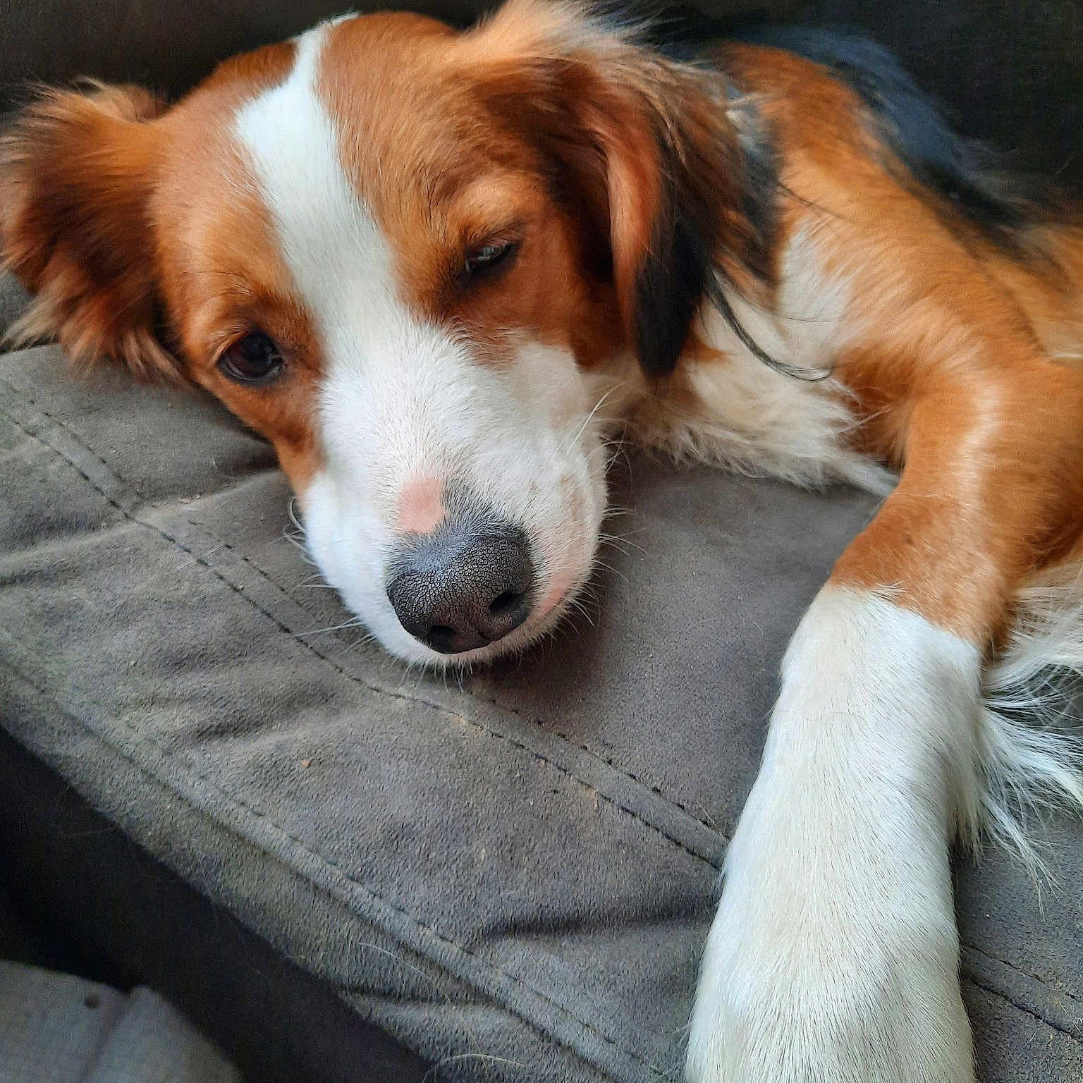 Toffee