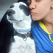 Miska participe au concours pour gagner de l'argent avec cette photo : dog, person, selfie, close_up, black_and_white, collar, car_interior, face, pucker, pet, animal, companion, affection, indoors, casual_clothing, blue_hoodie, yellow_hoodie_lining, canine, mammal, friendship