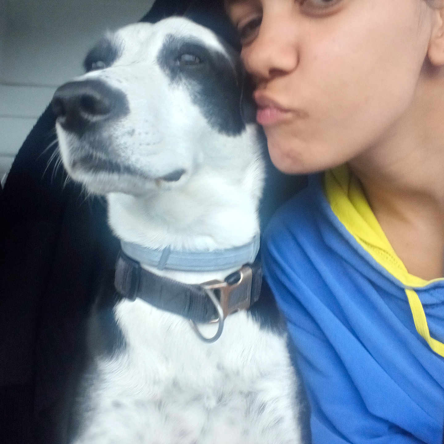 Miska