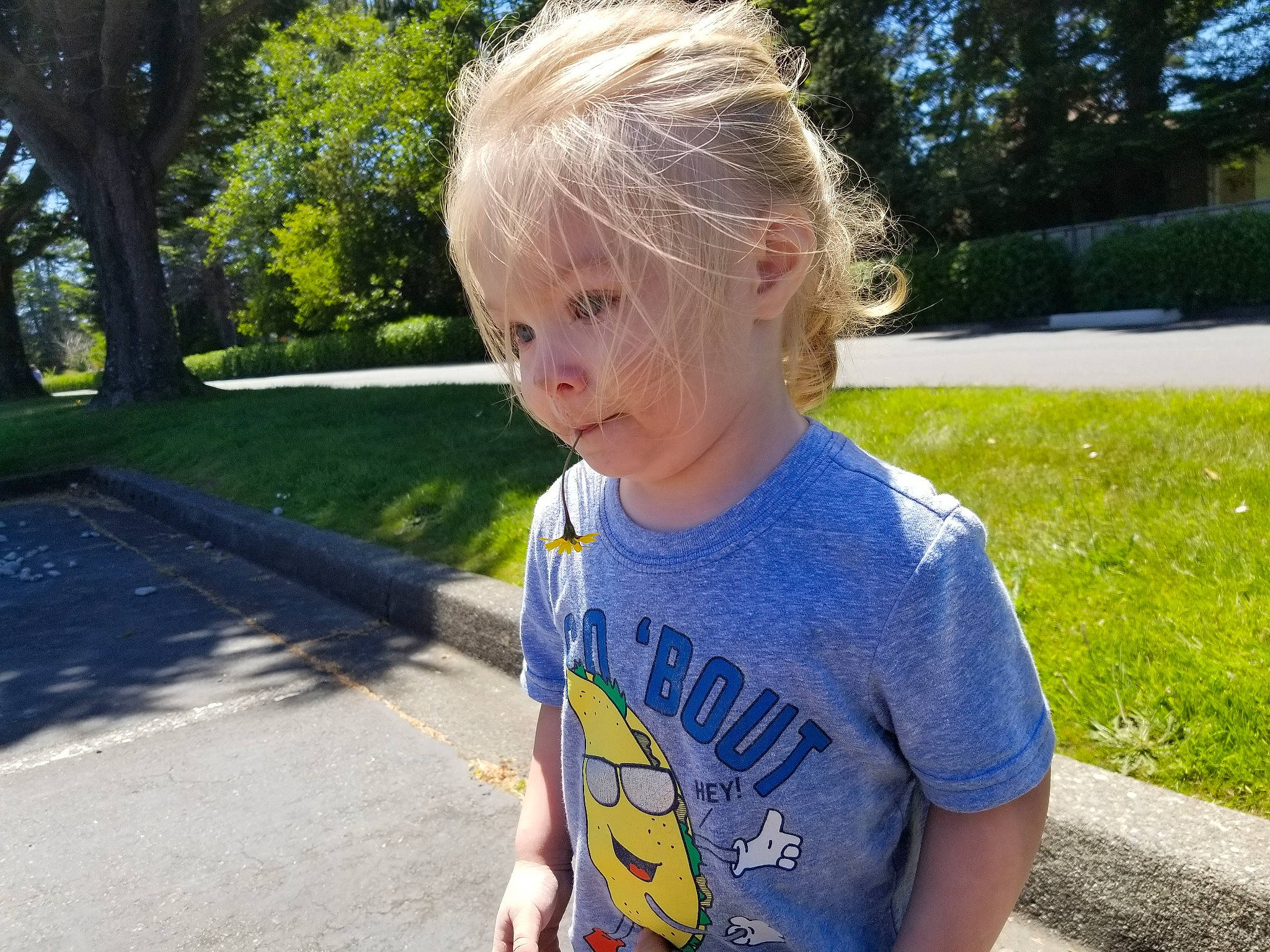Machiavelli is registered to the contest to win money with this photo: blond, child, cool, ear, electric_blue, fun, grass, hair, hairstyle, person, plant, play, recreation, sleeve, summer, t_shirt, toddler, top, tree, vacation