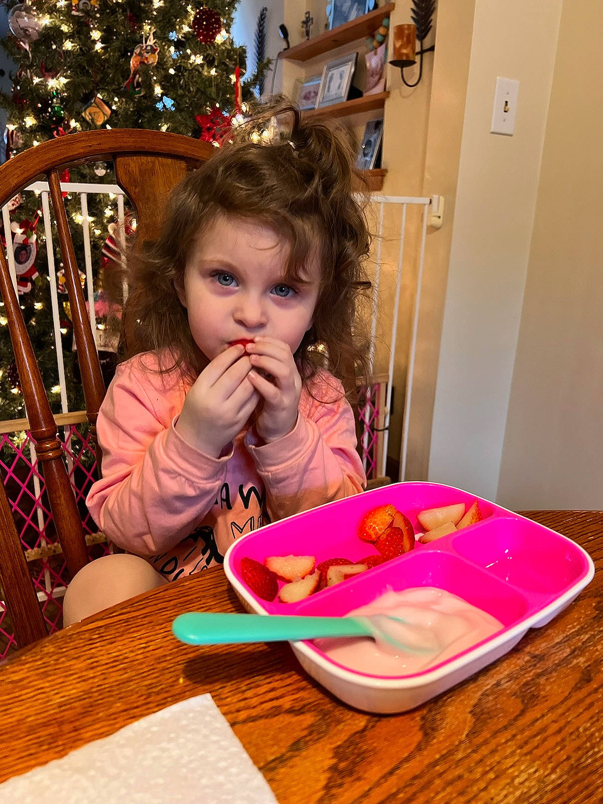 Dahlia joined the competition — help win amazing prizes! baby_toddler_clothing, chair, child, christmas_decoration, christmas_ornament, christmas_tree, dishware, event, food, fun, holiday, ornament, person, pink, plate, sitting, sweetness, table, tableware, toddler