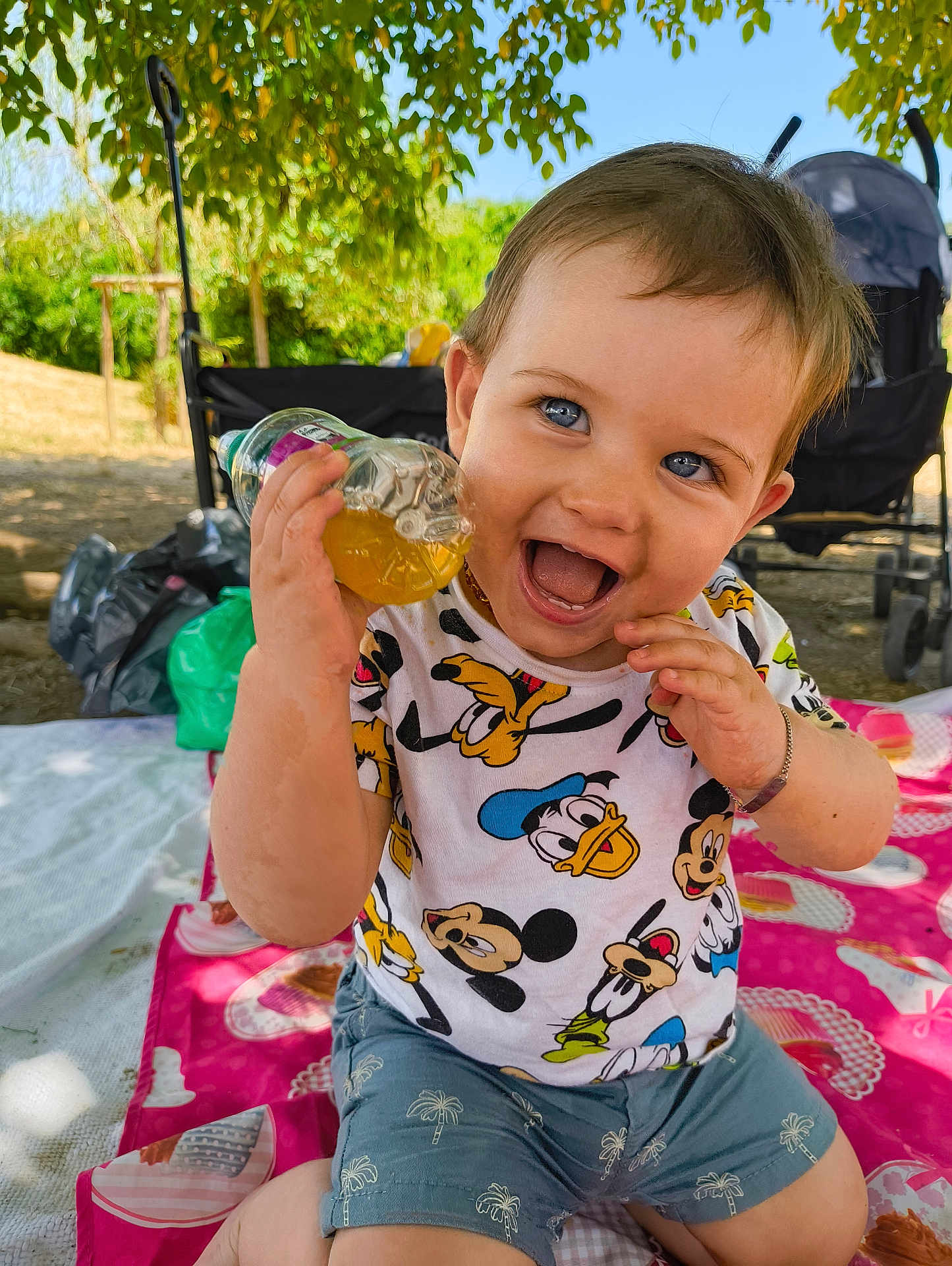 Edward participe au concours pour gagner de l'argent avec cette photo : toddler, child, smiling, blue_eyes, shorts, tshirt, mickey_mouse, donald_duck, pluto, outdoor, picnic, bottle, drink, grass, trees, stroller, sunlight, happy, playing, summer