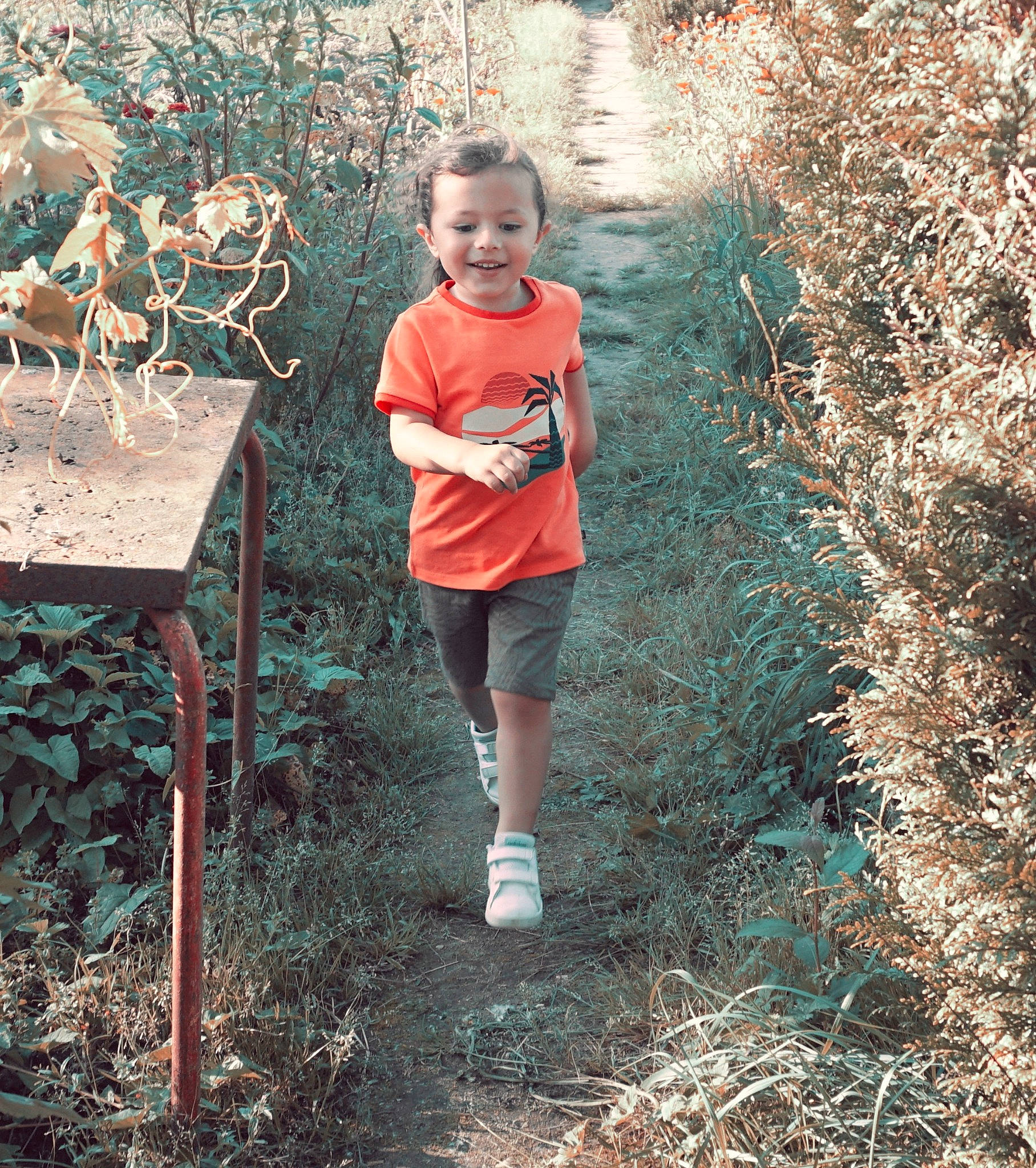Lucenzo participe au concours pour gagner de l'argent avec cette photo : boot, branch, child, forest, fun, garden, grass, grass_family, happy, joy, landscape, leisure, people_in_nature, person, plant, recreation, shorts, soil, toddler, tree
