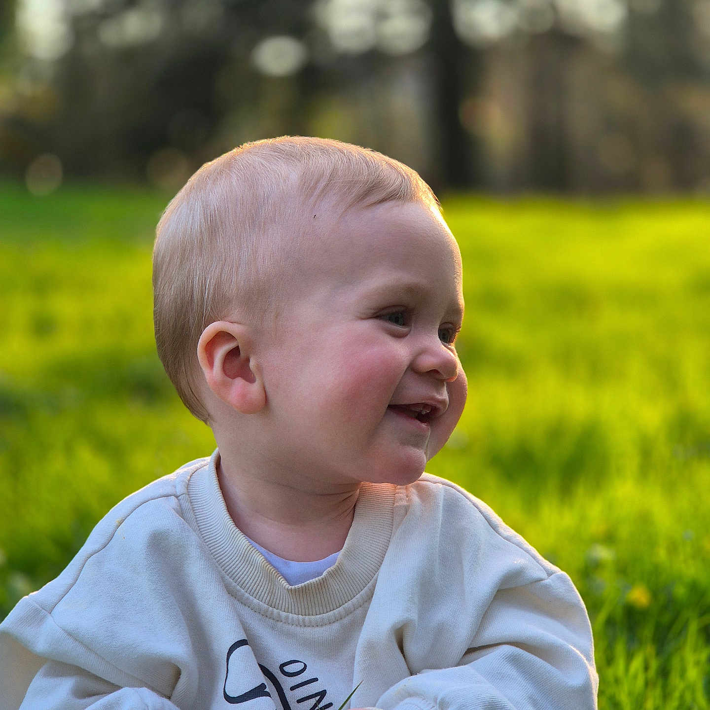 Raphaël a rejoint le concours — aidez-le/la à gagner de superbes lots ! toddler, child, smiling, grass, outdoor, nature, greenery, sweatshirt, happy, baby, portrait, daylight, grass_blade, casual_clothing, cute, young_child, person, head, face, playful