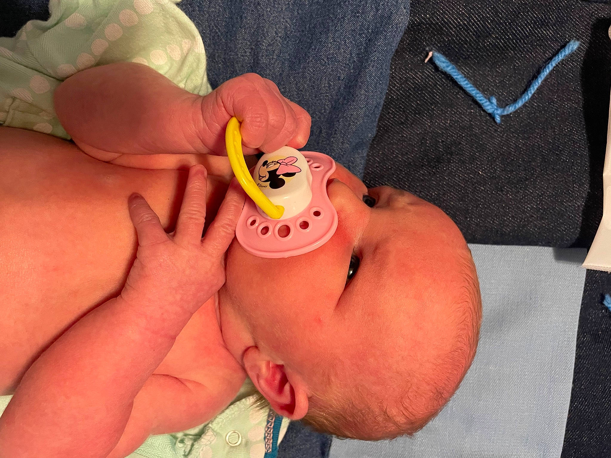 Paisley is registered to the contest to win money with this photo: arm, ear, eye, eyebrow, eyelash, eyewear, gesture, glasses, hand, human_body, jaw, leg, lip, mouth, muscle, nose, orange, person, skin, smile