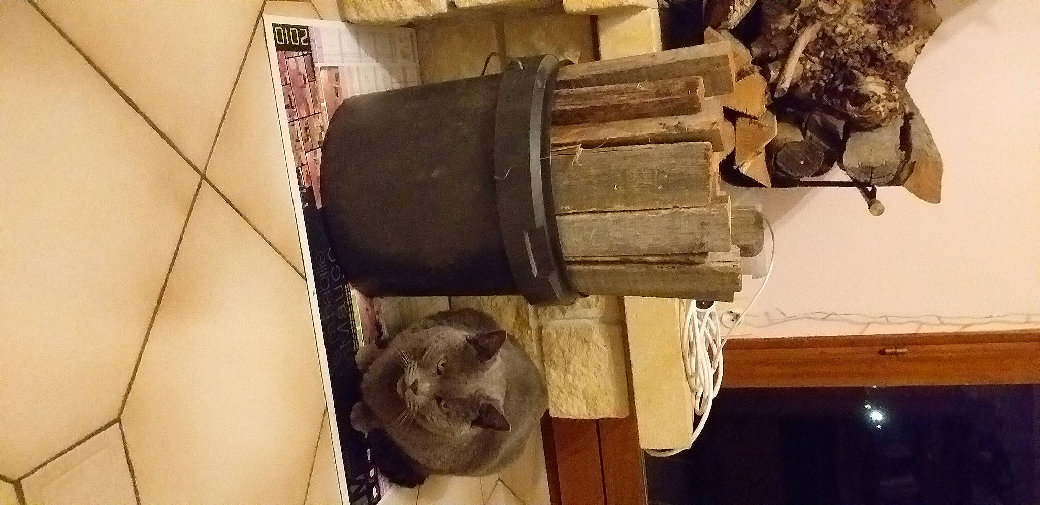 Foebus a rejoint le concours — aidez-le/la à gagner de superbes lots ! art, auto_part, gas, hardwood, machine, metal, plywood, room, wood