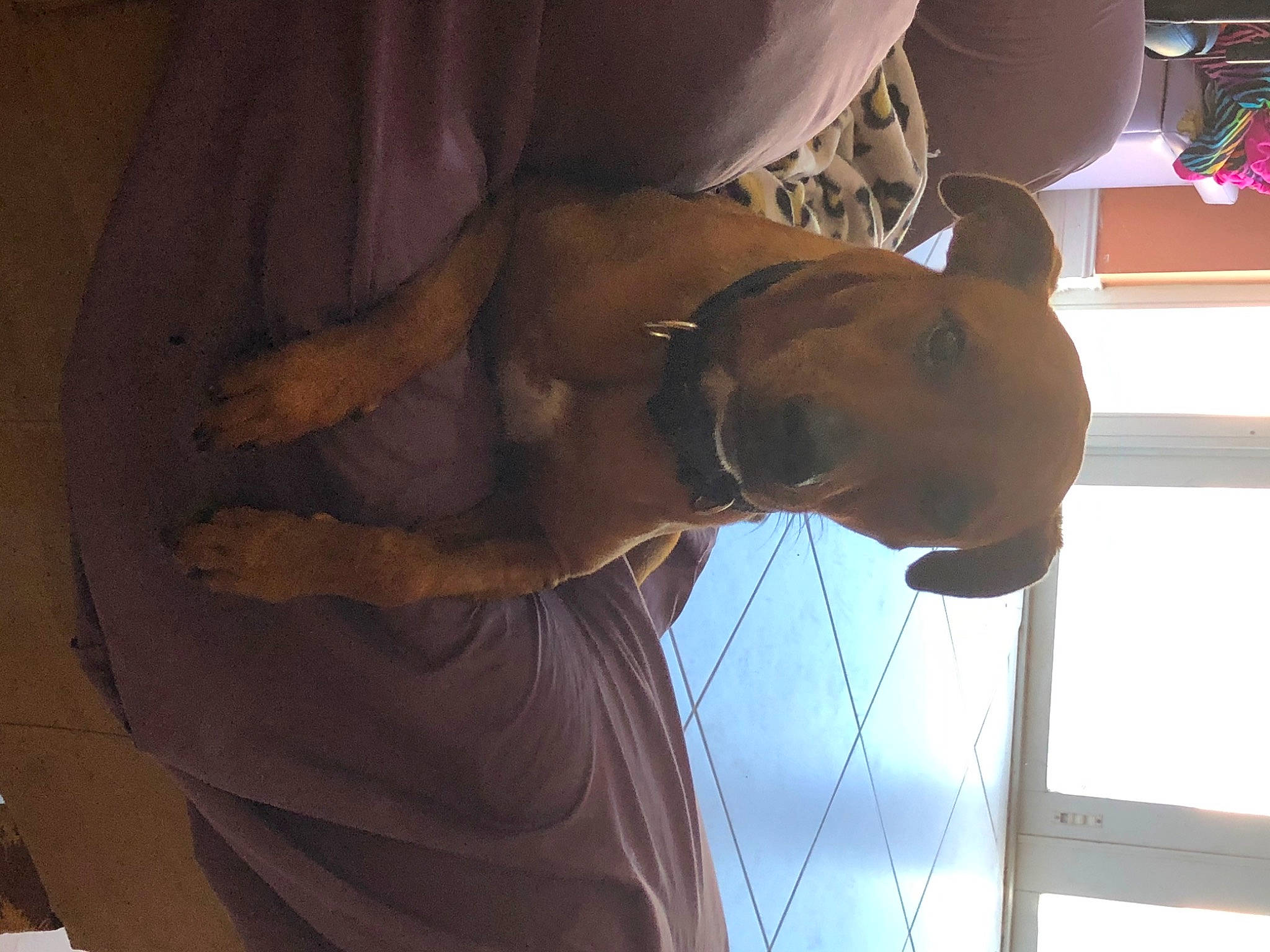 Ace joined the competition — help win amazing prizes! fawn