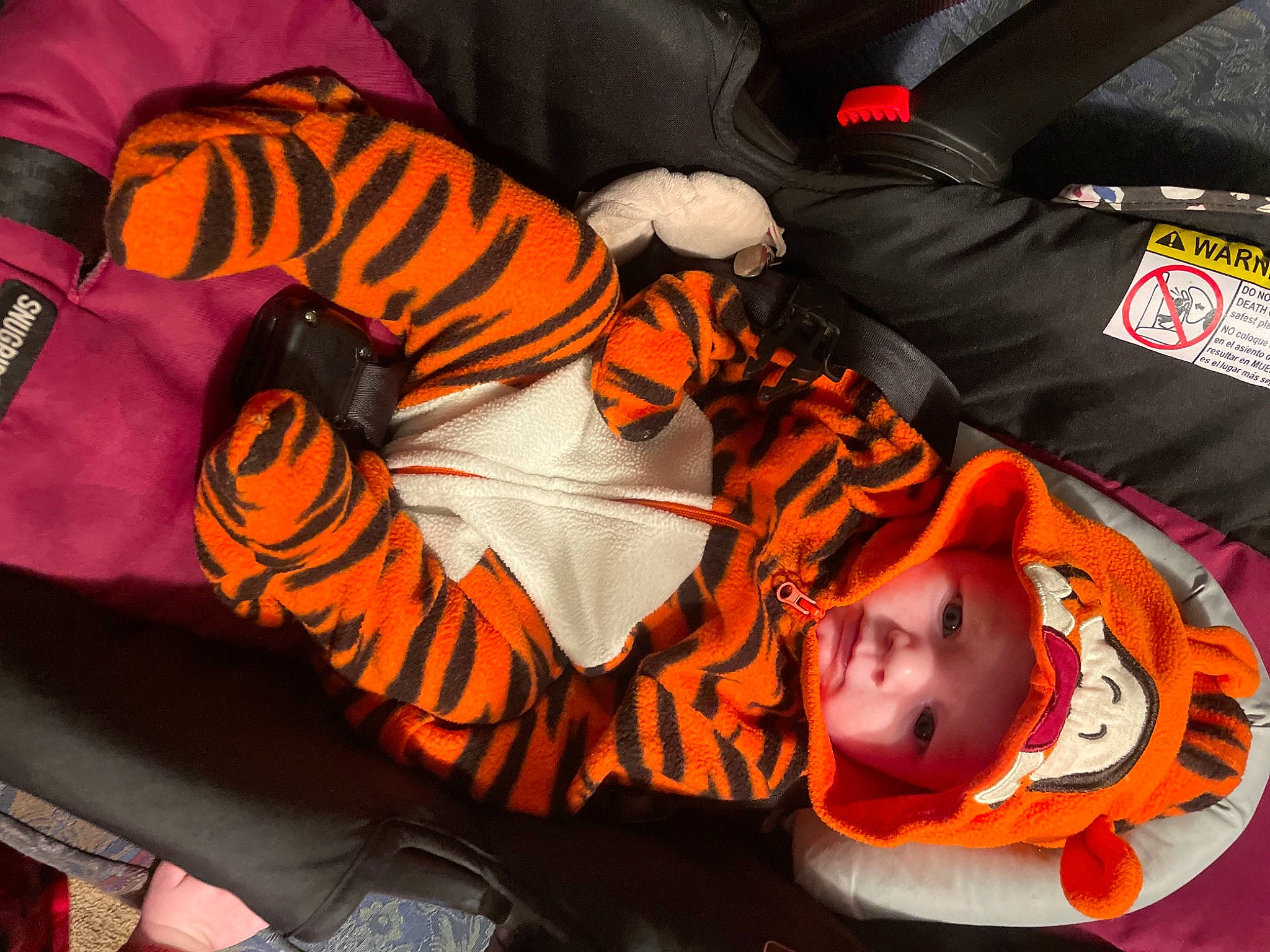 Anna joined the competition — help win amazing prizes! baby_products, bengal_tiger, big_cats, child, comfort, event, felidae, fur, headwear, linens, orange, person, personal_protective_equipment, room, sleeve, tiger, toddler, toy