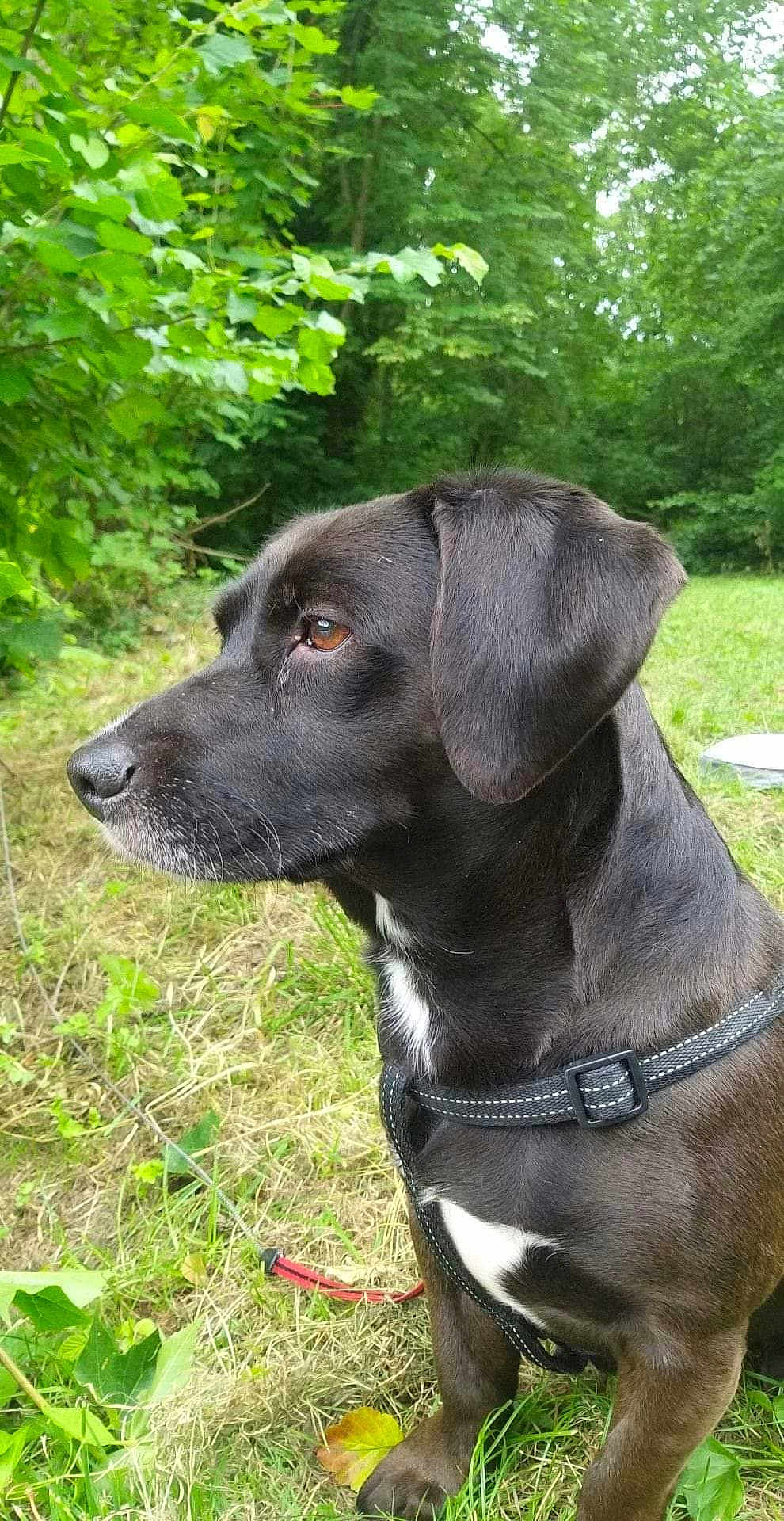 Isko