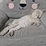 Aslan participe au concours pour gagner de l'argent avec cette photo : kitten, sleeping, chair, plush, animal_face, indoor, cute, pet, feline, cozy, resting, soft, gray, white, fur, home, window, decorations, relaxation, comfortable