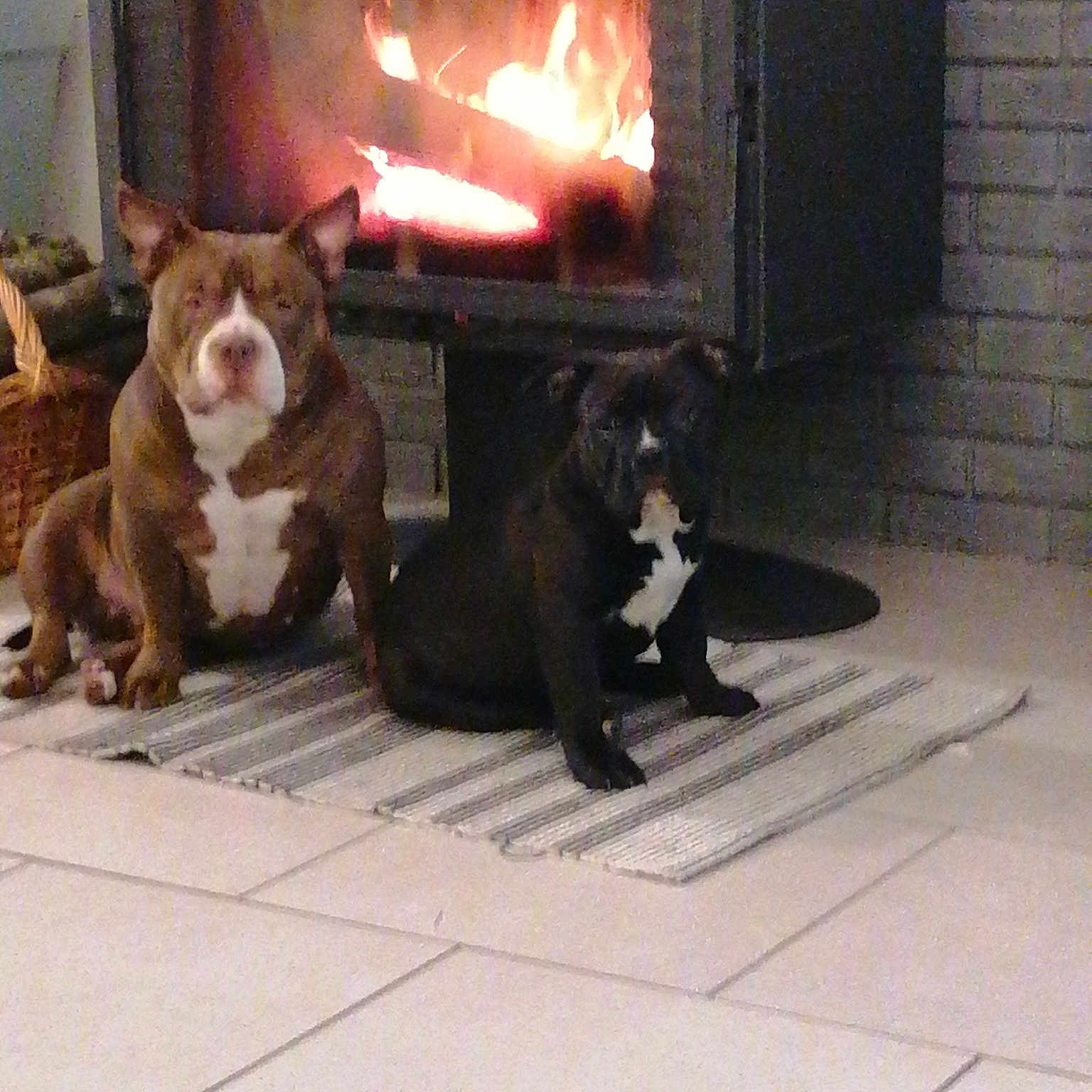 Kiara Et Raspoutia