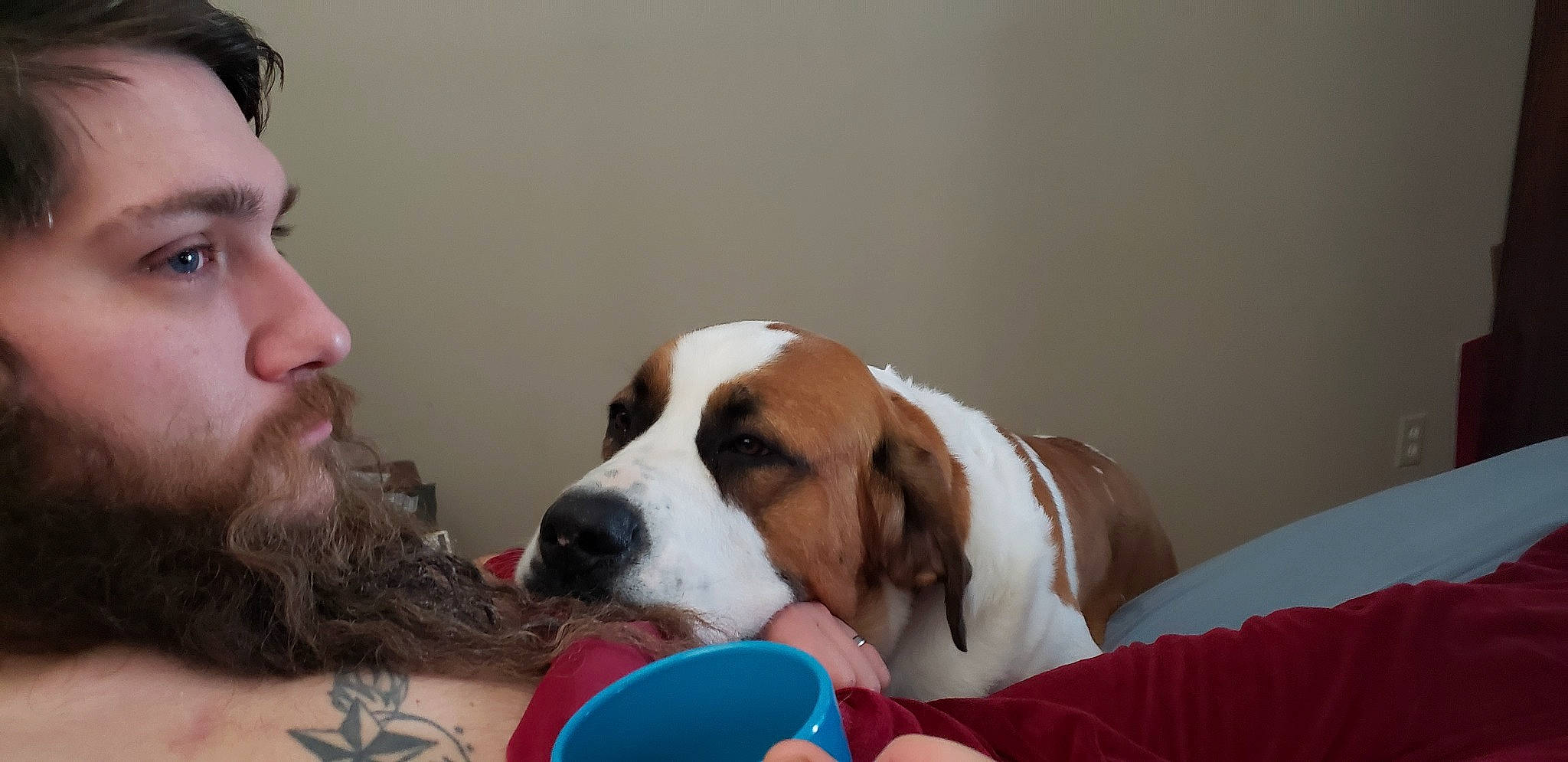 Jack joined the competition — help win amazing prizes! beard, canidae, carnivore, comfort, companion_dog, dog, dog_breed, dog_supply, ear, fawn, finnish_hound, fur, hound, non_sporting_group, paw, puppy_love, scent_hound, snout, sporting_group, temporary_tattoo