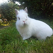 Loulou participe au concours pour gagner de l'argent avec cette photo :