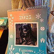 His Name Is Elmo joined the competition — help win amazing prizes! animal, art, box, bulldog, canine, dog, envelope, face, greetingcard, head, hound, labradorretriever, mail, painting, person, pet, photography, portrait, puppy, text