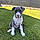 Ares