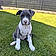 Ares