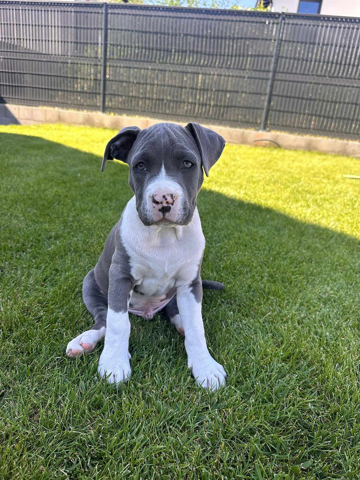 Ares