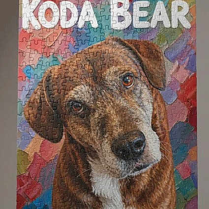 Koda Bear