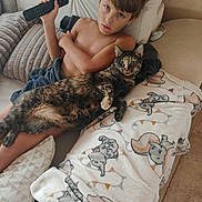 Tara participe au concours pour gagner de l'argent avec cette photo : boy, cat, remote_control, couch, blanket, pillow, indoor, relaxed, shirtless, tabby_cat, child, pet, furniture, cozy, resting, looking, floor, living_room, casual, home