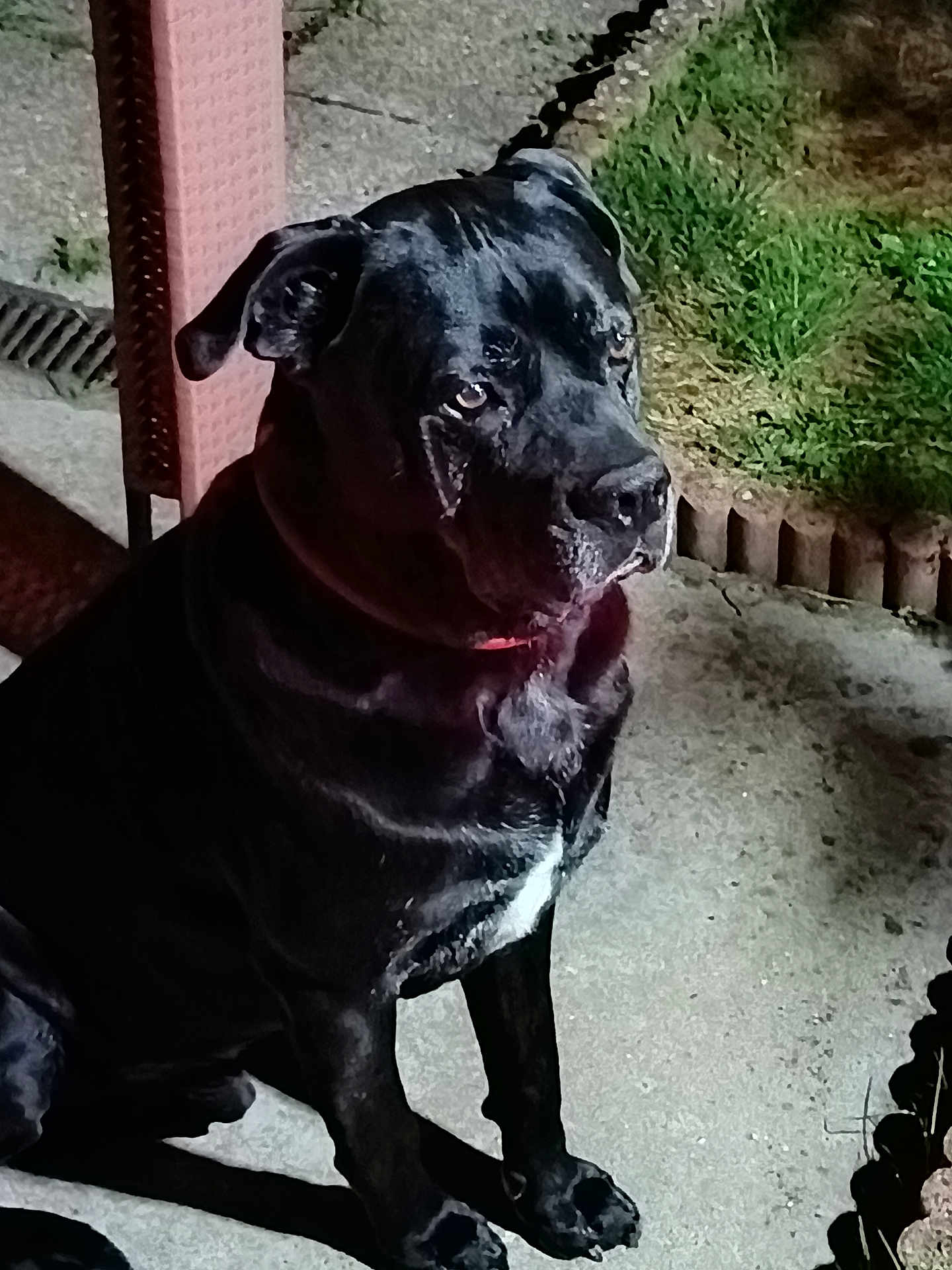 Loky