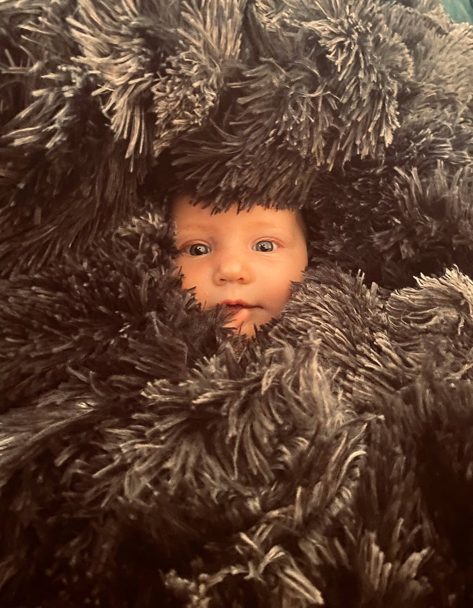 Ivory joined the competition — help win amazing prizes! art, branch, child, christmas_ornament, conifer, event, evergreen, eye, flash_photography, freezing, fur, fur_clothing, grass, head, organism, people_in_nature, person, plant, toddler, tree