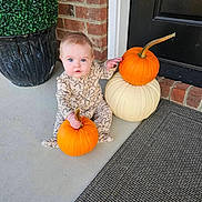 Mckenna is registered to the contest to win money with this photo: baby, child, pumpkin, orange_pumpkin, white_pumpkin, porch, brick_wall, door, doormat, plant_pot, green_plant, sitting, holding, blue_eyes, cozy_outfit, autumn, fall, cute, curious, indoors