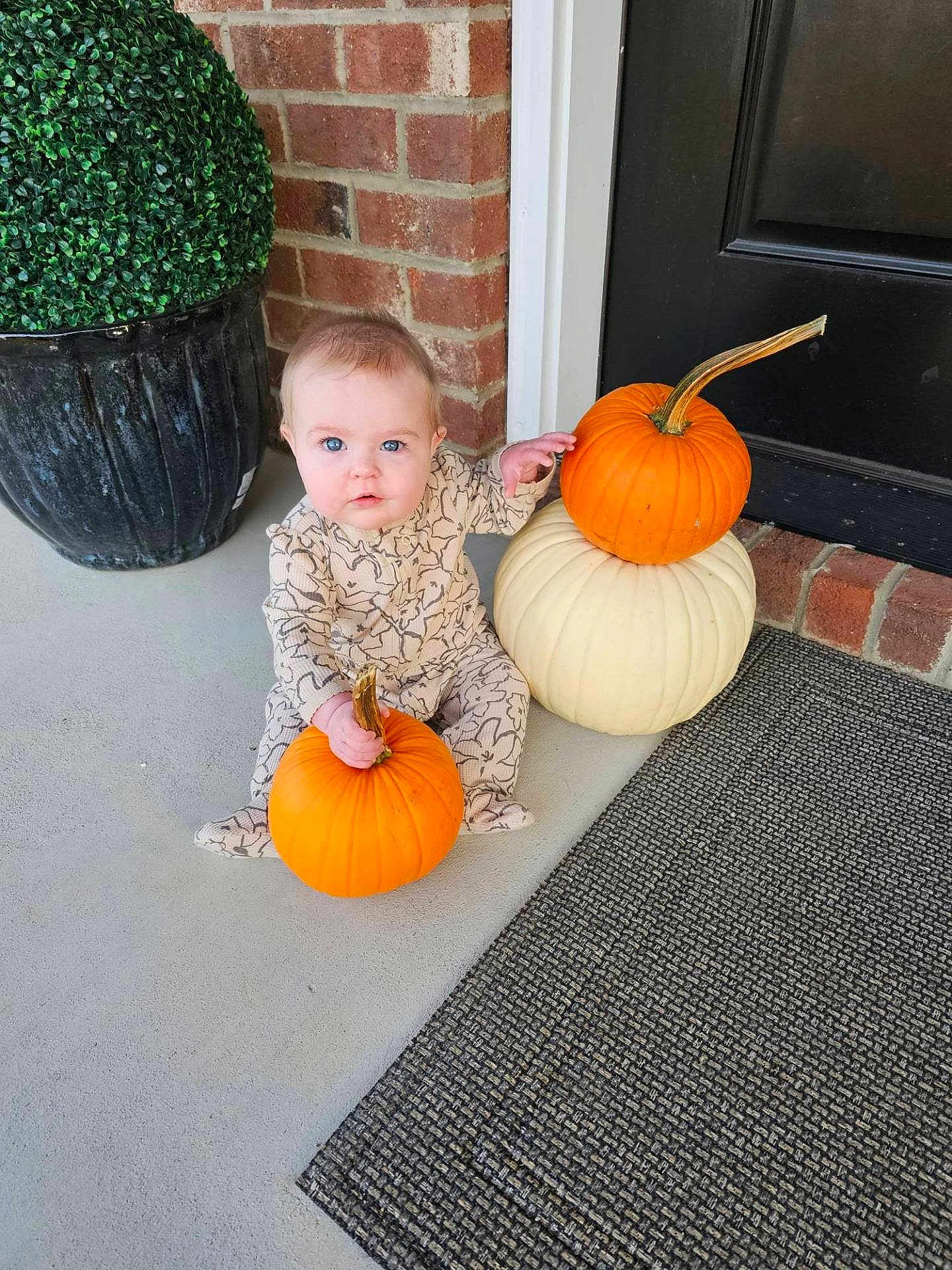 Mckenna is registered to the contest to win money with this photo: baby, child, pumpkin, orange_pumpkin, white_pumpkin, porch, brick_wall, door, doormat, plant_pot, green_plant, sitting, holding, blue_eyes, cozy_outfit, autumn, fall, cute, curious, indoors