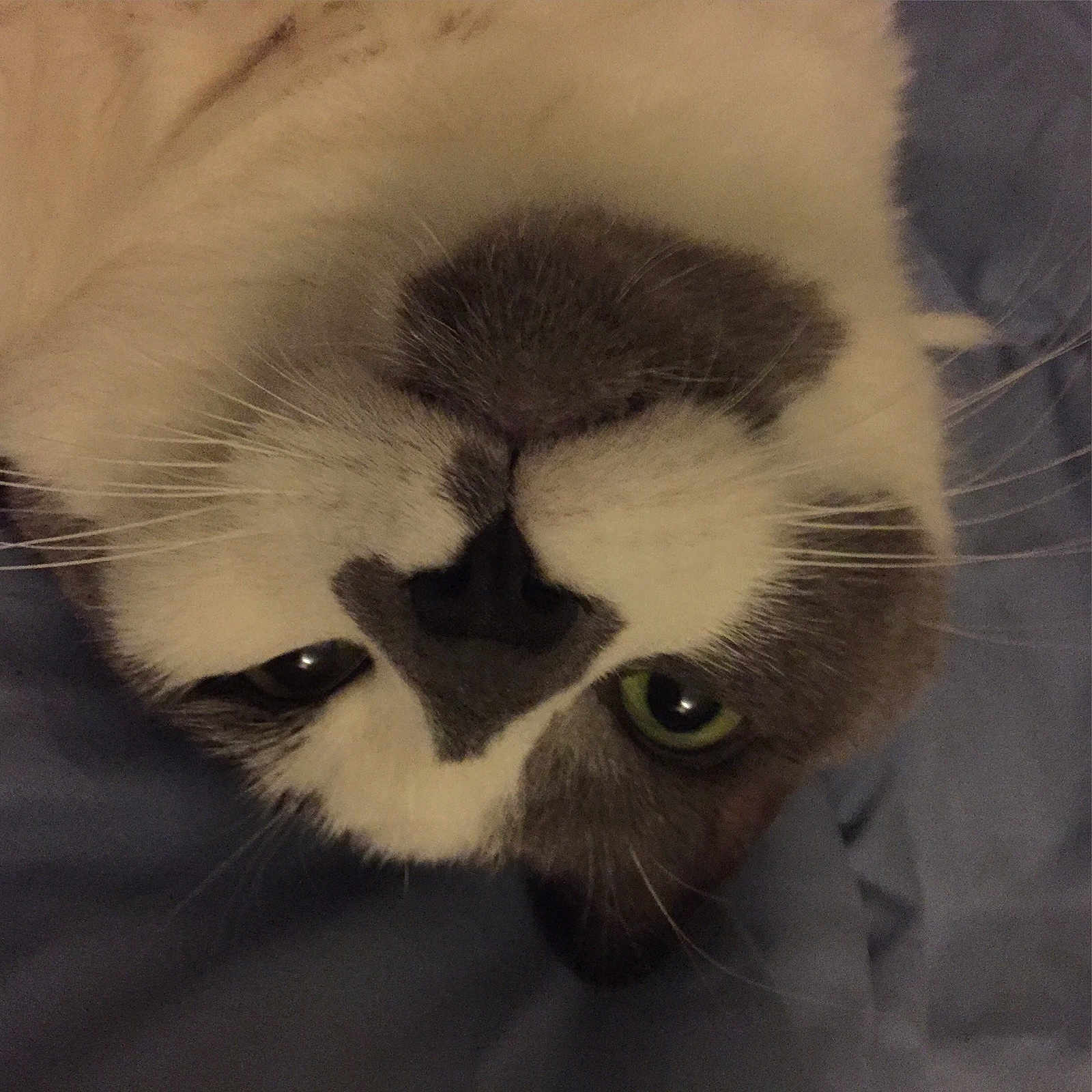 Blump joined the competition — help win amazing prizes!