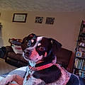 Jasper G.