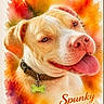 dog, portrait, watercolor, painting, artwork, pet, canine, happy, smiling, tongue_out, collar, bone_tag, hanging_frame, wall_art, colorful, orange, red, indoor, phone_screenshot, wall