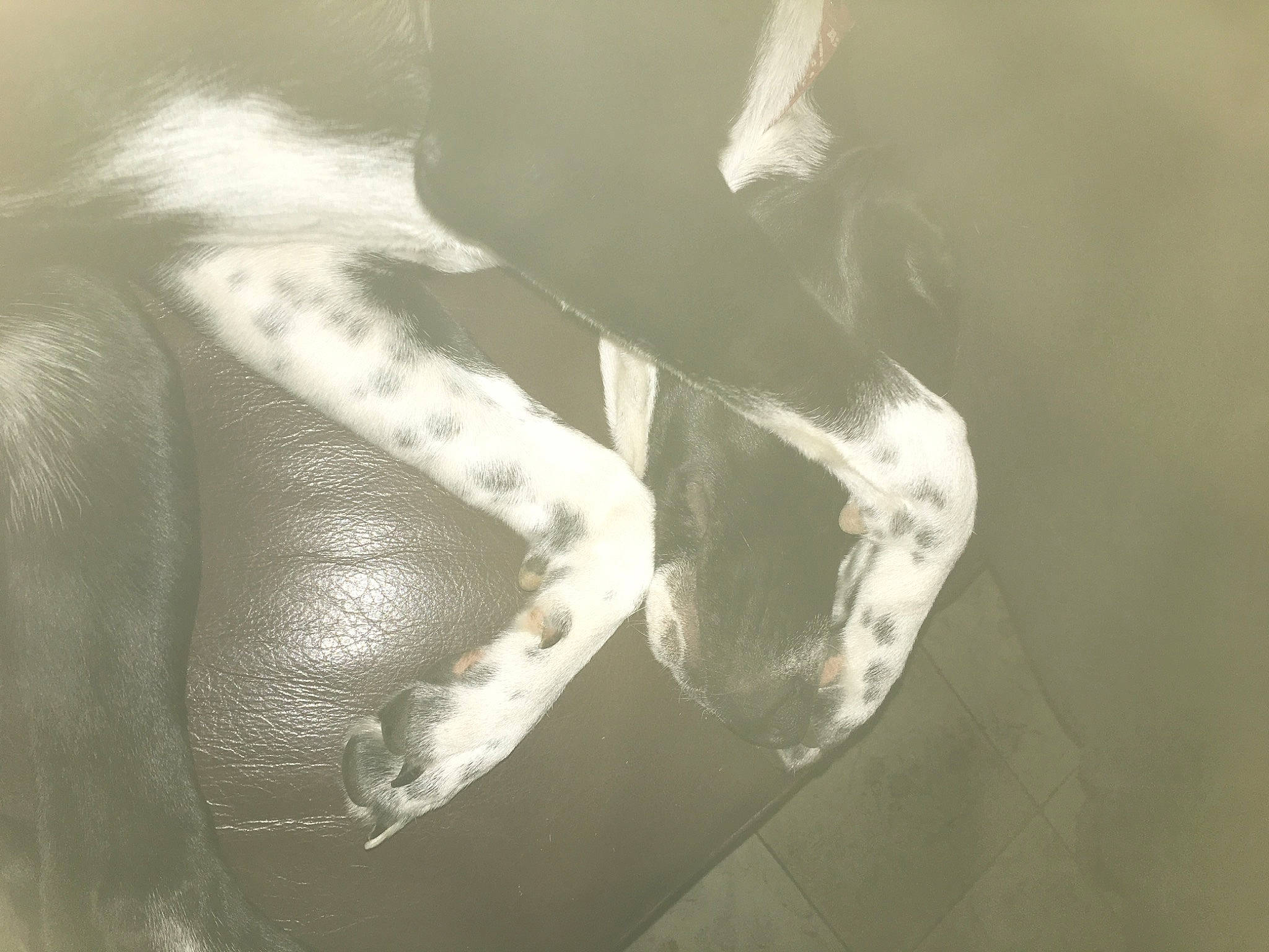 Thya participe au concours pour gagner de l'argent avec cette photo : arm, art, chest, darkness, elbow, eye, flash_photography, foot, gesture, human_body, human_leg, jaw, knee, monochrome, monochrome_photography, neck, tints_and_shades, tree, trunk, wrist