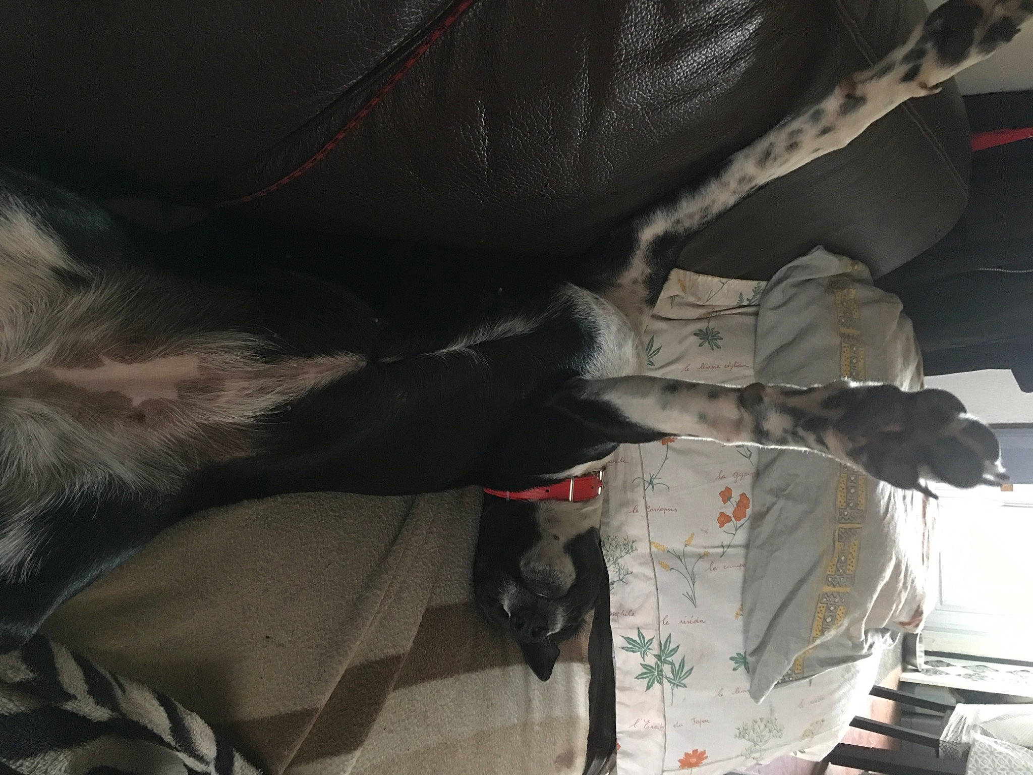 Thya a rejoint le concours — aidez-le/la à gagner de superbes lots ! art, auto_part, automotive_design, automotive_exterior, automotive_lighting, automotive_tire, automotive_wheel_system, bumper, carmine, comfort, grey, human_leg, luxury_vehicle, motor_vehicle, personal_luxury_car, tree, vehicle, vehicle_door, windshield, wing