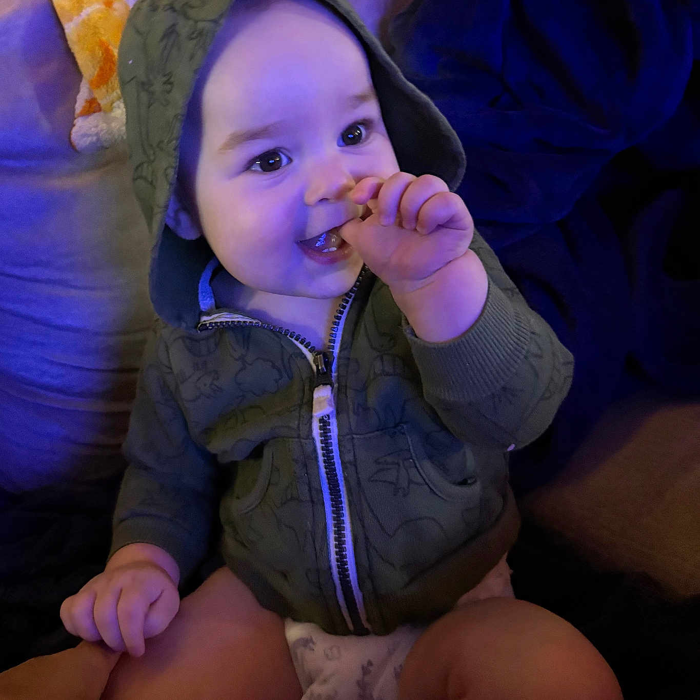 Milo