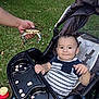 baby, blue_jeans, child, clothing, crab, cute, face, food, grass, grass_field, hand, infant, nature, outdoor, person, plastic_tray, playful, snack, striped_shirt, stroller