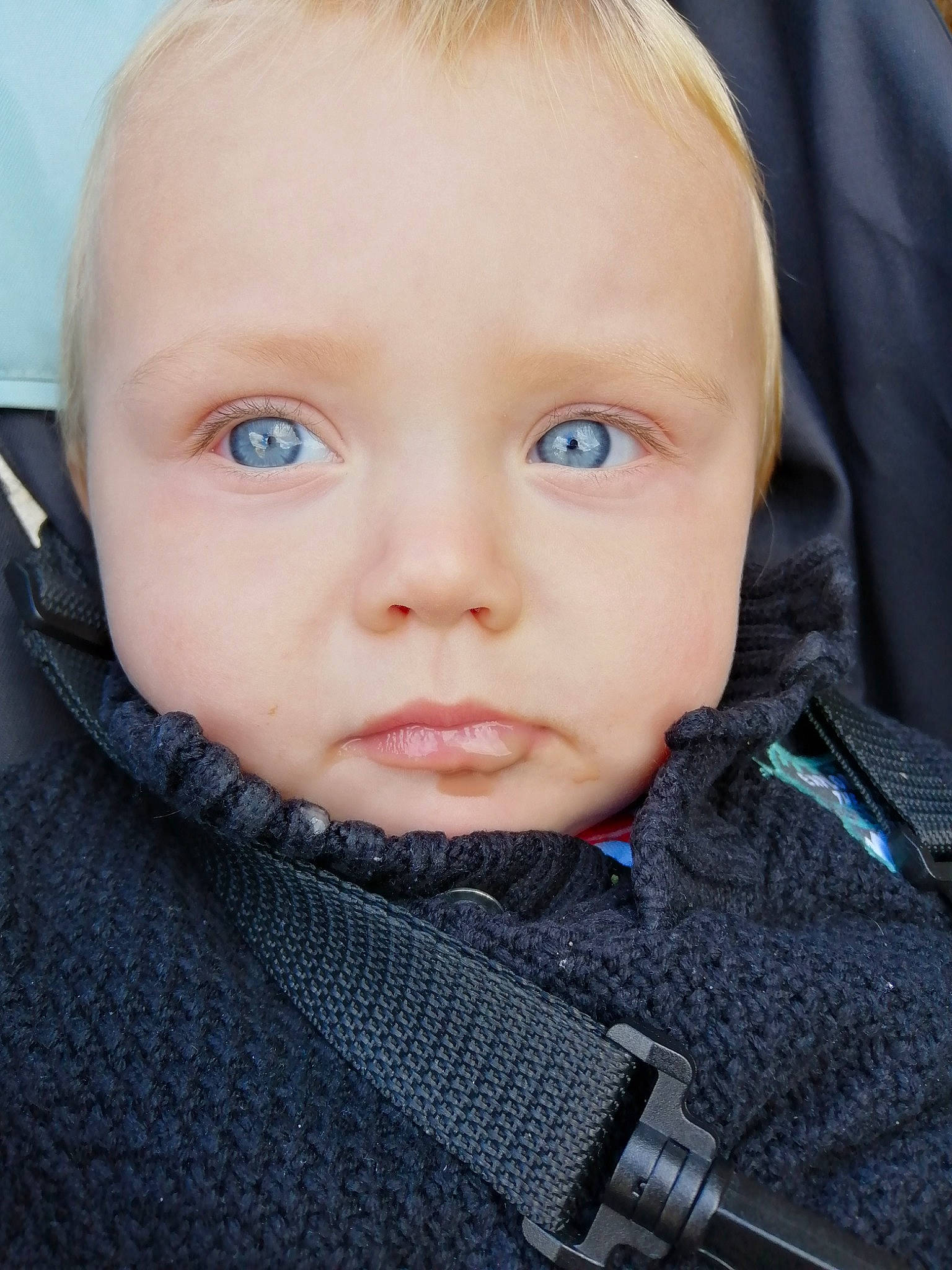 Gino a rejoint le concours — aidez-le/la à gagner de superbes lots ! baby, beauty, blond, cheek, child, child_model, chin, eye, eyebrow, face, forehead, hair, head, lip, male, neck, nose, outerwear, person, skin
