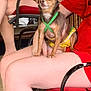 dog, small_dog, pet, harness, yellow_outfit, person, lap, sitting, relaxed, content, chair, metal_chair, red_cushion, wooden_floor, casual, outdoor, human_leg, hand, summer_clothing, resting