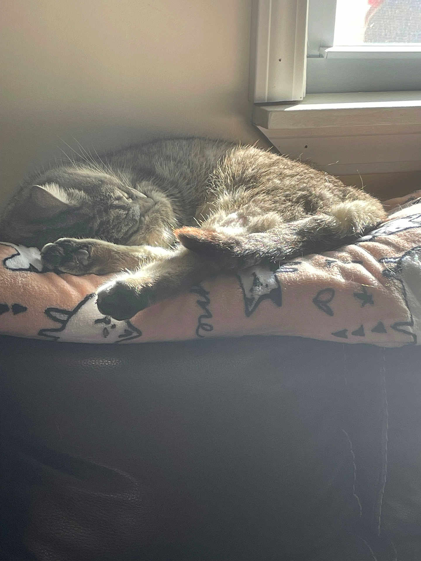 Sika