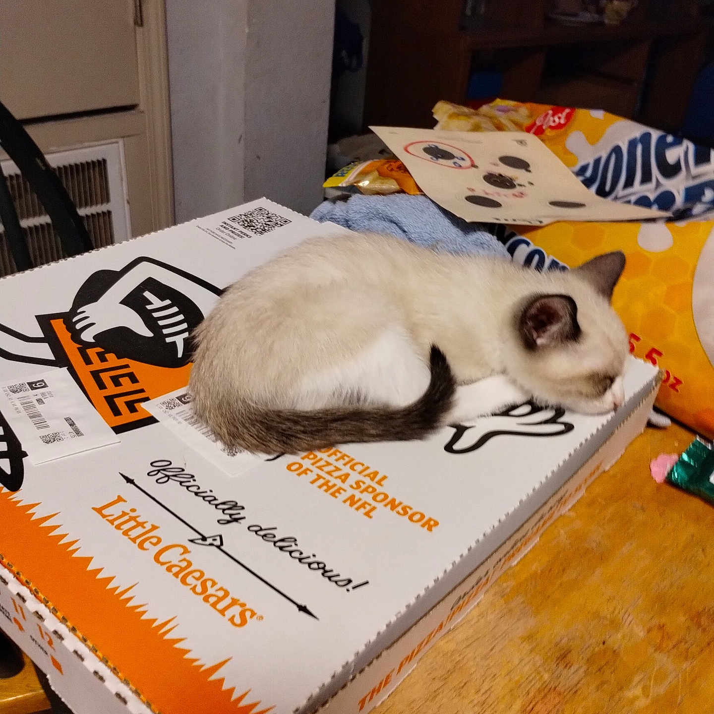 Little Man is registered to the contest to win money with this photo: brown_and_white_cat, cat, cozy, domestic_cat, ears, feline, food_packaging, fur, household, indoor, little_caesars, nap, pizza_box, quiet, relaxed, resting, sleeping, table, tail, wooden_table