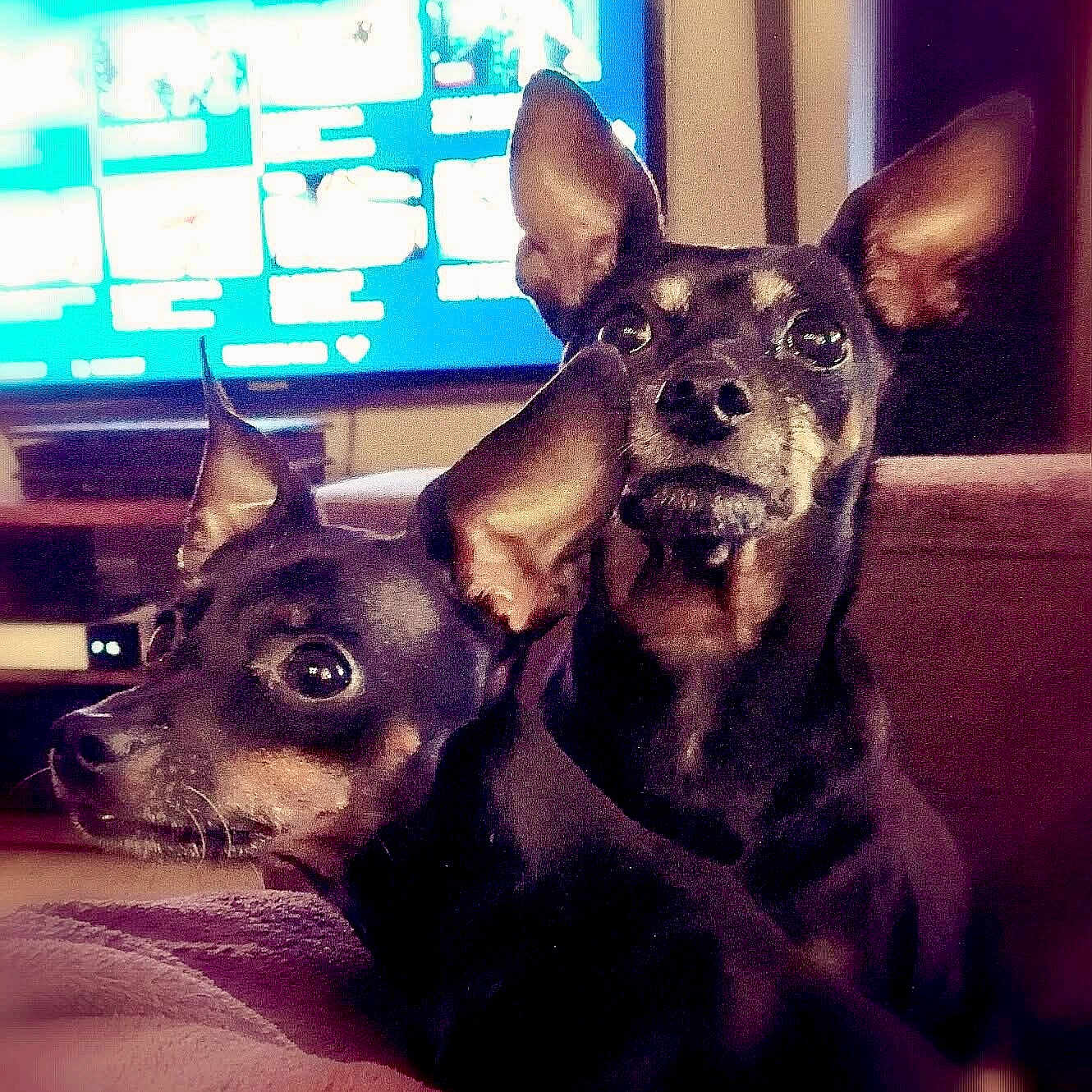 Caroline Et Kilibili