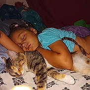 Houdini is registered to the contest to win money with this photo: child, cat, sleeping, bed, blanket, indoor, cozy, braided_hair, patterned_bedspread, pillow, rest, calm, cute, domestic_animal, pet, human, animal, relaxation, comfort, soft_lighting