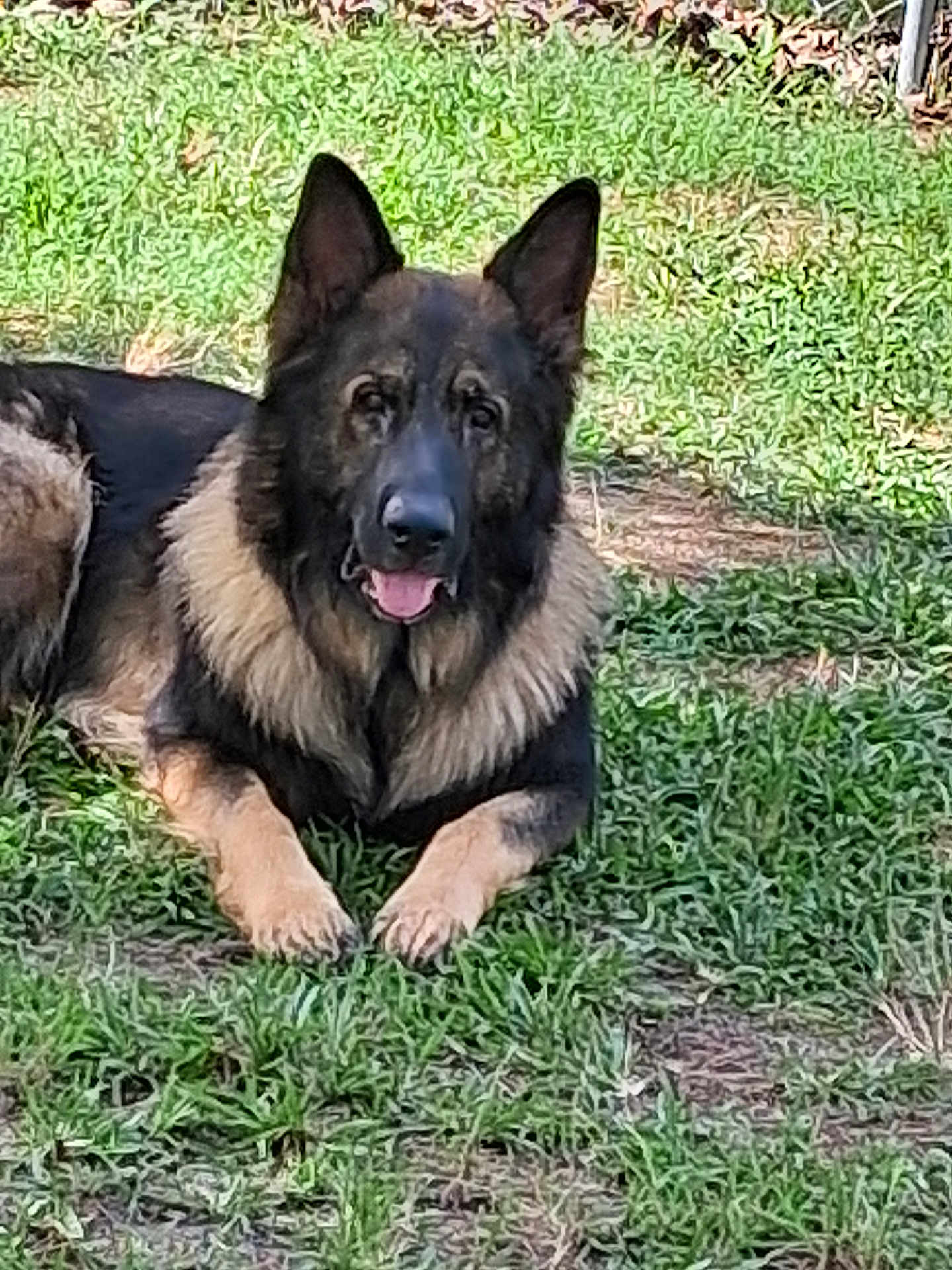 Tank